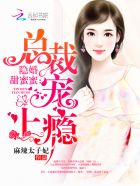 隱婚甜蜜蜜：總裁，寵上癮